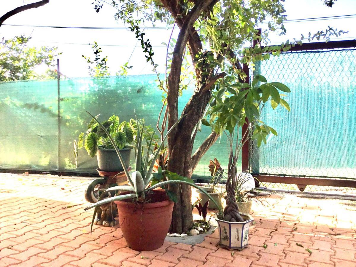 Belle Maison F3 Papeete  Dış mekan fotoğraf