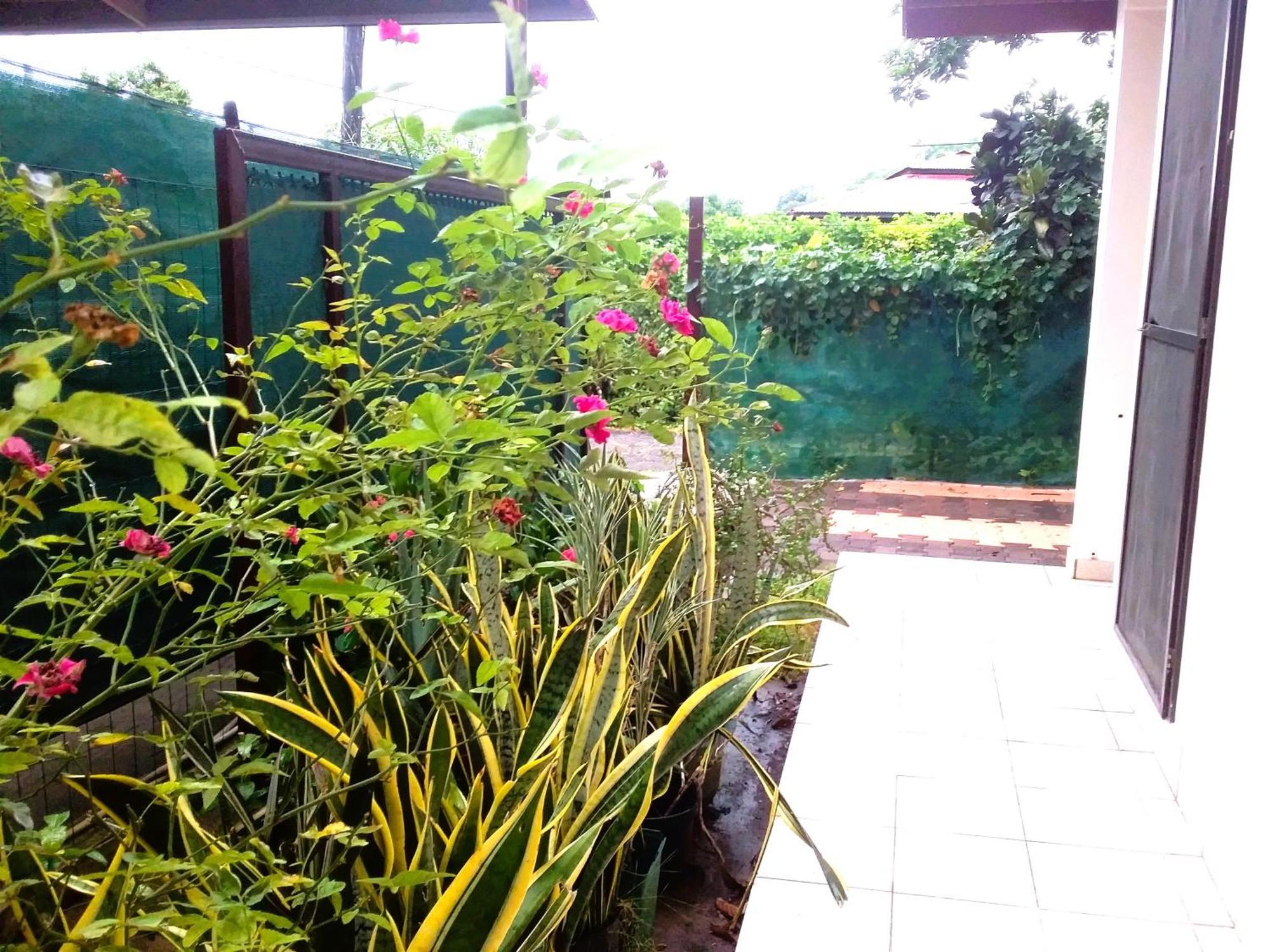 Belle Maison F3 Papeete  Dış mekan fotoğraf